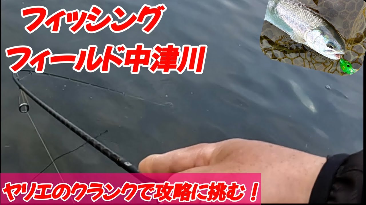 フィッシングフィールド中津川・ヤリエクランクで攻略に挑む！
