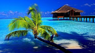 Aylex - Sea - Carefree Club Positive Energy Relaxing Soothing Tropical Beach Songs Song Music Beats