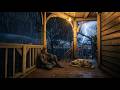 Taking Shelter on the Porch With My Pets During Heavy Thunderstorm | RDR2 ASMR