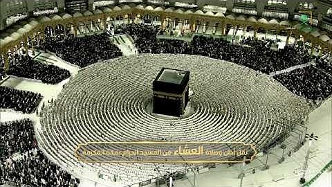 تِلاوة نديَّة من سورة الأنعام 74-83 للشيخ د. #ماهر_المعيقلي عشاء الخميس 18 جمادى الآخرة 1446هـ