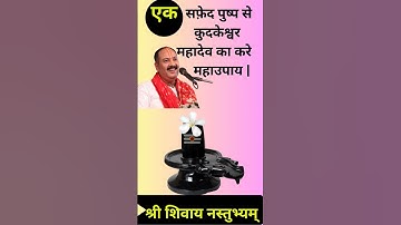 मात्र एक सफ़ेद पुष्प से करे कुदकेश्वर महादेव का महाउपाय || Pandit Pradeep Mishra| Upay|Shivmahapuran