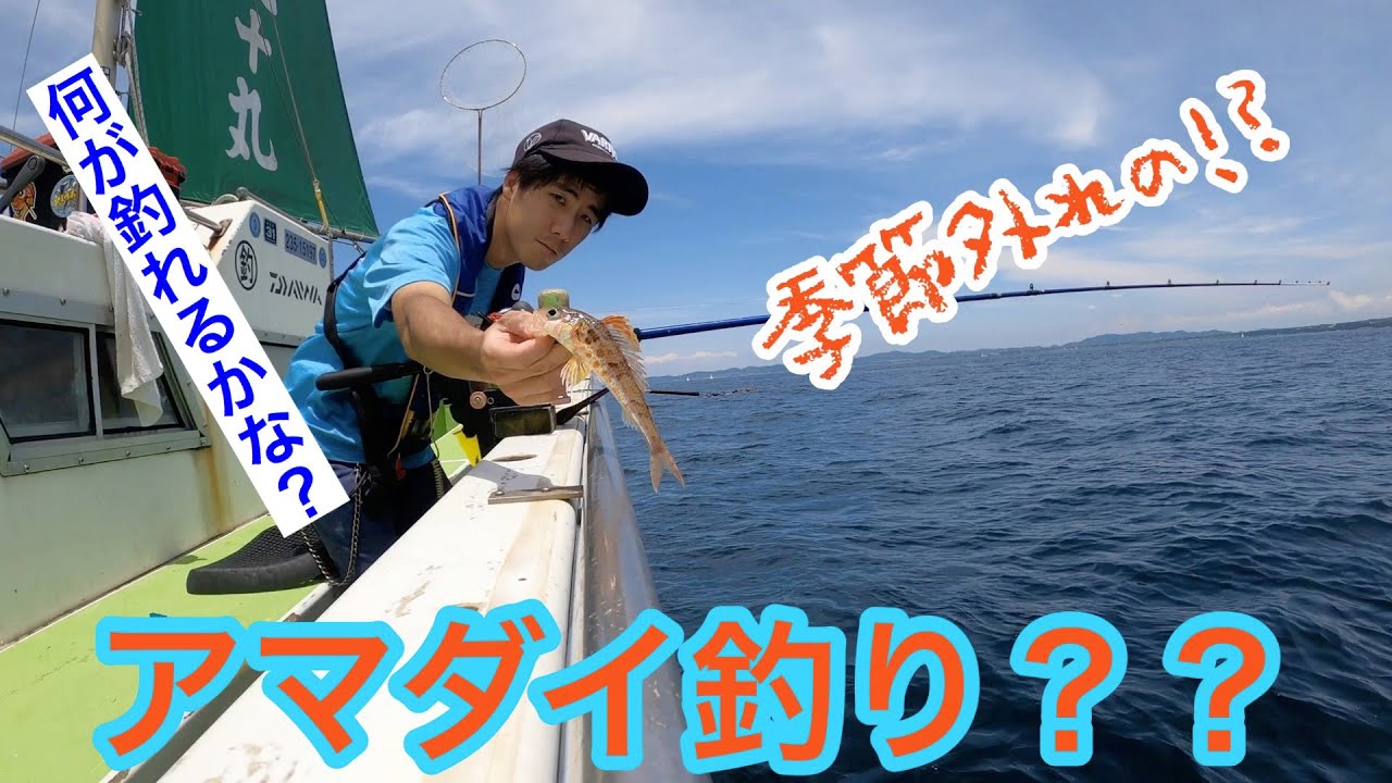 梅雨のアマダイ釣り 相模湾 Dirt Tile Fish Fishing Of The Rainy Season Sagami Bay Youtube