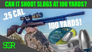 Can the JTS Airacuda Shoot Slugs? at 100 YARDS?!?  H&N .25 CAL SLUGS