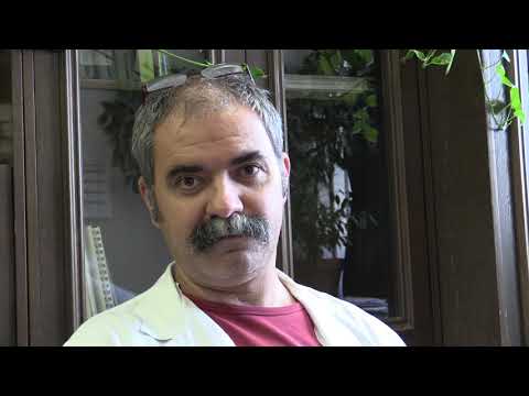 A gyógyítás múltjából Miskolcon 2014 (A Semmelweis sebészetének utolsó napjai)