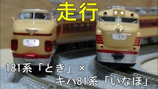 KATO 181系 Zゲージ 鉄道模型 KATO 181系100番台「とき・あずさ」入線です。10-1147・10-1148