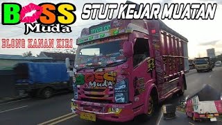 TRUCK BOSS MUDA OLENG || STUT KEJAR MUATAN BLONG KANAN KIRI #CMICGALUHCIAMIS