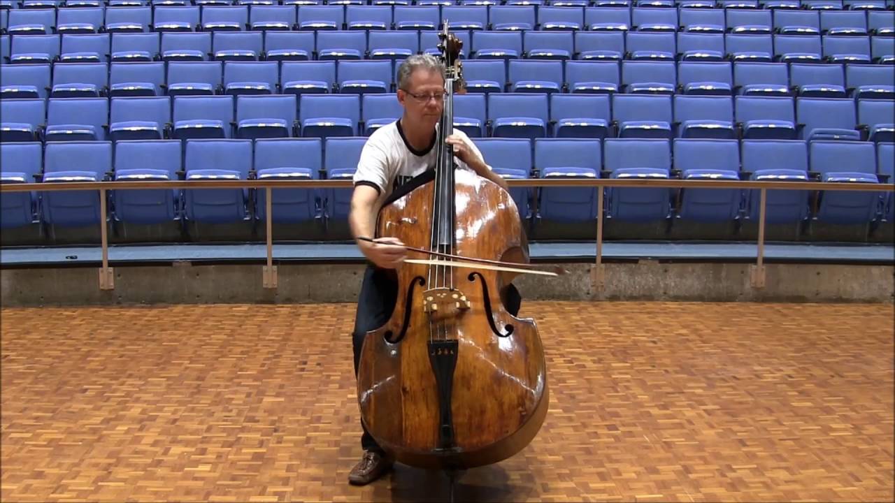 Béla Bartók Concerto for Orchestra Double Bass Excerpts YouTube