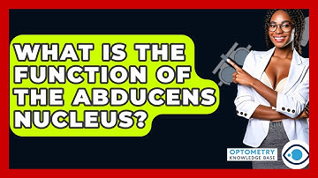 What Is The Function Of The Abducens Nucleus? - Optometry Knowledge Base