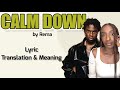 Rema - Calm Down (Afrobeats Translation: Lyrics and Meaning)