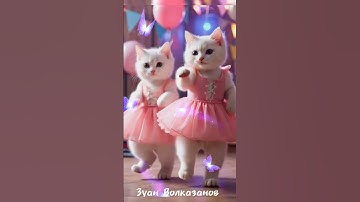 Thumbnail of kupu kupu-kupu terbang melayang kucing imut sedang berjoget😹😸 #kucingimut #kucingjoget  #kucinglucu