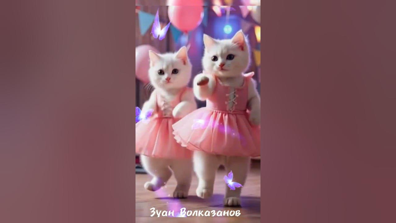 kupu kupu-kupu terbang melayang kucing imut sedang berjoget😹😸 #kucingimut #kucingjoget  #kucinglucu