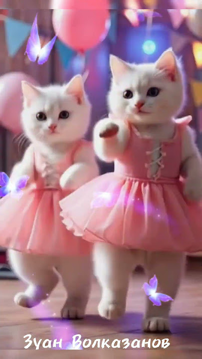 kupu kupu-kupu terbang melayang kucing imut sedang berjoget😹😸 #kucingimut #kucingjoget  #kucinglucu