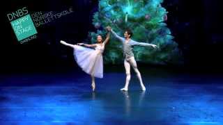 DNBS first ballet performance Nutcracker Nov 2014, Bærum kulturhus