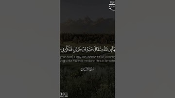 القارئ راشد الحليبة #راشد_الحليبة