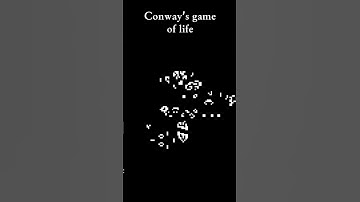 🪢Amazing Conway