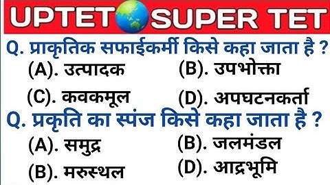 UPTET 2021 || Super TET EVS Important Questions || Super TET || UP LEKHPAL || SSC || RRB || UPPET