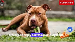 how many carrots can a red nose pitbull dog eat