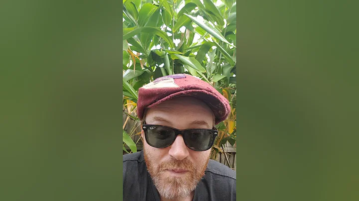 Pigeon Pea, the self-fertilising food plant!