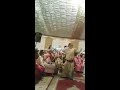 wedding mujra private at home   Sitara Baig