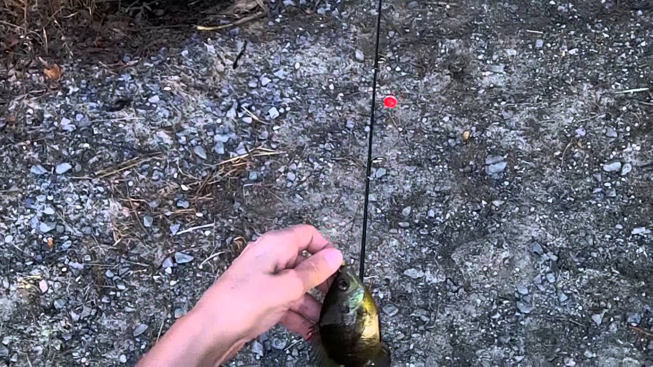 NowItBegins! tuesday march 11 2014