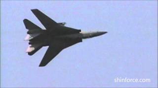 F-14 Tomcat VF-101: Flight Demonstration :: 1998 Cleveland National Air Show