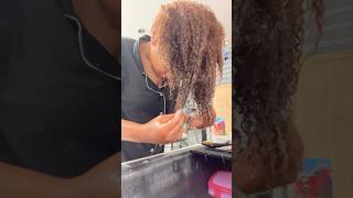 Wash day &amp; a twist protective style 💆🏽‍♀️#naturalhair #twistout #washdayroutine