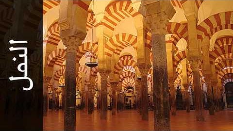 سورة النمل علي بن عبدالرحمن الحذيفي - Surah An-Naml Ali Alhuthaifi
