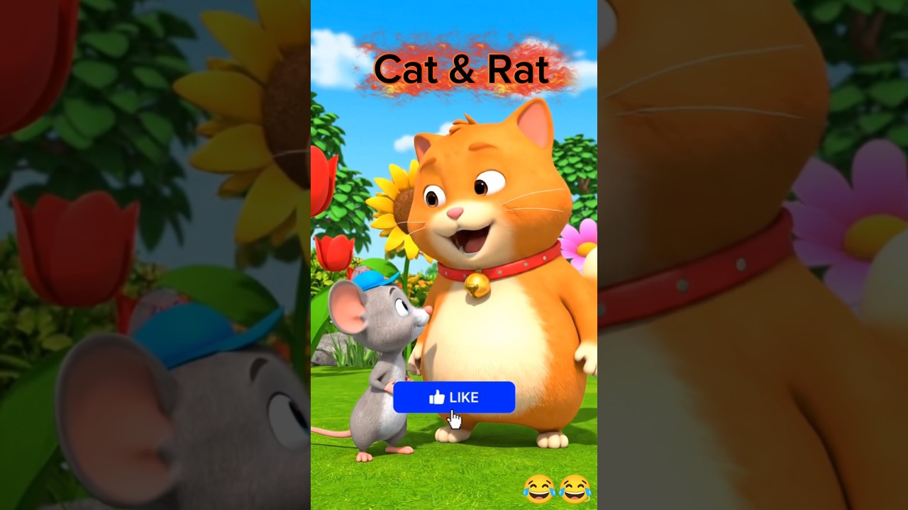cute Rat and cat Story 