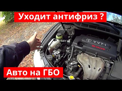 Видео: Что входит в состав антифриза для газовой линии Heet?