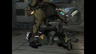 L A M P