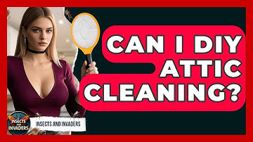 Can I DIY Attic Cleaning? - Insects and Invaders