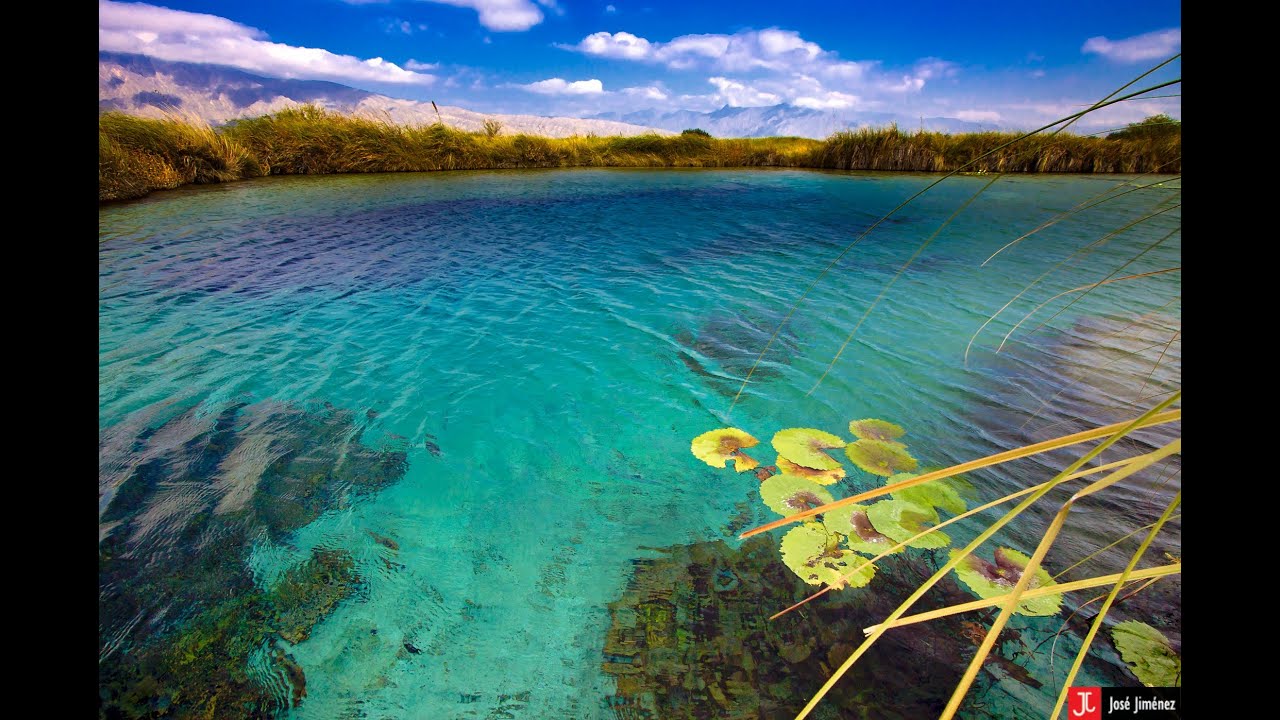 Resultado de imagen para Cuatro Ciénegas, Coahuila