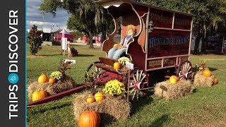 Hunsader Farms Pumpkin Festival is Perfect Fall Fun in Florida