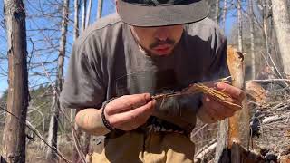 Pyrite strike a light  rotten wood   Coal extender