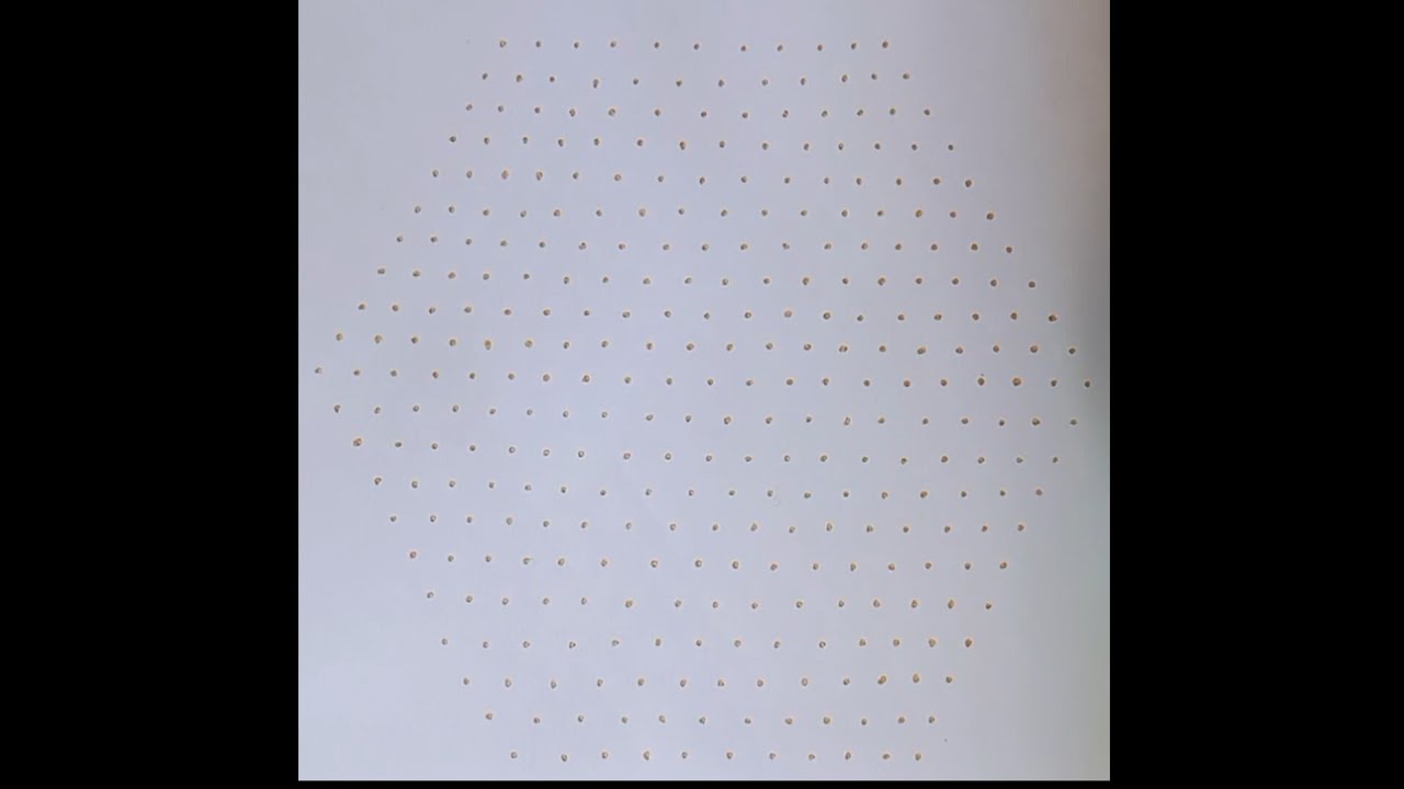 Simple rangoli✨#rangoli #dotrongoli #easyrangoli #simplerangoli #bigrangoli #viralvideo #trending 