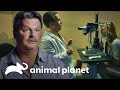 Verme de 20 centímetros dentro do olho da paciente | Parasitas Assassinos | Animal Planet Brasil