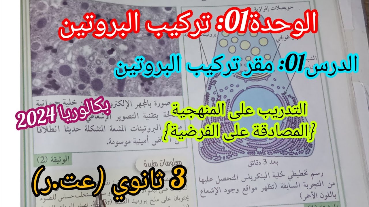 الوحدة01 تركيب البروتين/الدرس01: مقر تركيب البروتين🍖+التدريب على المنهجية المصادقة على الفرضية(عت+ر)