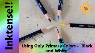 Using a Primary Color Palette with Derwent Inktense Pencils!
