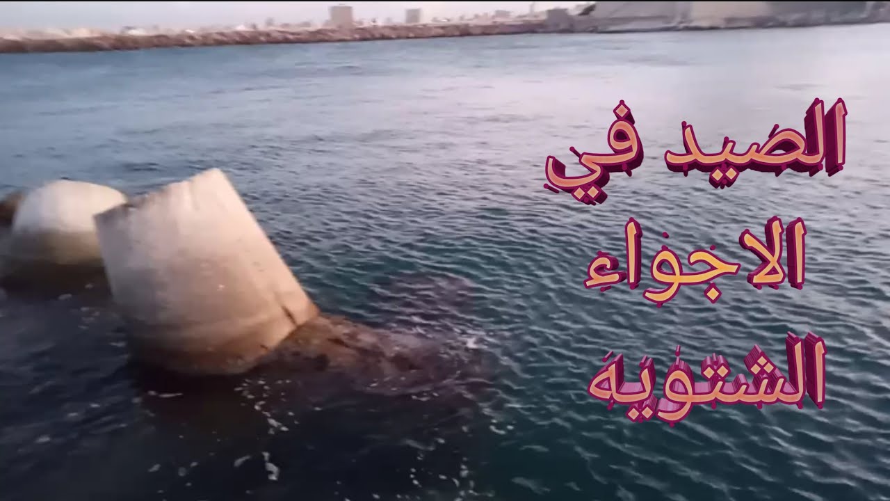 صيد سمك البوري في قلب النوة _متعه الصيد بالبوصه اليد