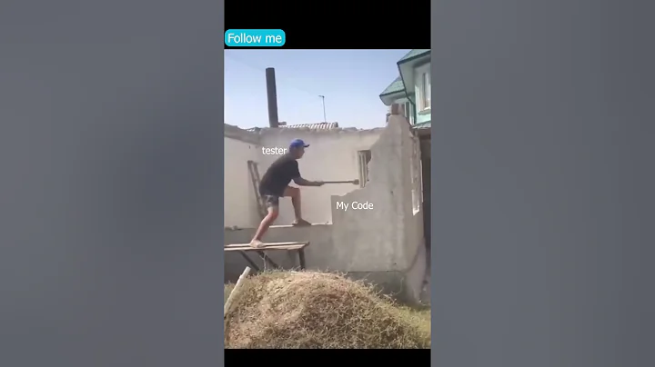 Developer are crazy ! #programming #tester #coding #codingmemes