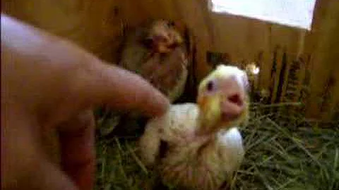 Our Newest Additions!