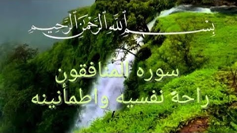 القران الكريم/سوره المنافقون/راحه نفسيه واطمأنينه🌹🌹