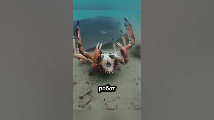 Крабы, спасшие робота-краба! 🤖🦀❤️ #животные