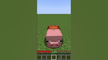How to Ride a Pig in Minecraft