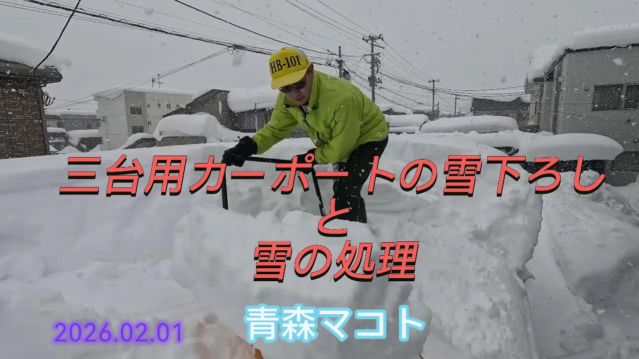 三台用カーポートの雪下ろしと雪の処理