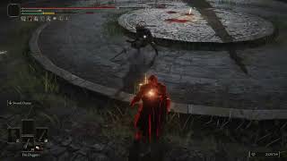 Please Read Your Weapons Manual Before Using It | Elden Ring Clips