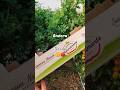 Nuovi Imballaggi ancora più Ecosostenibili 👍🍅 Emulateci!