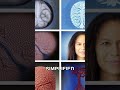 Miniature Human Organs in a Dish | Recent advancements in technology Fact #shorts