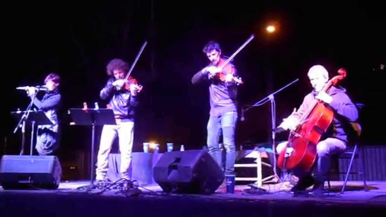 Gnu Quartet Baja Prog 2014 02.04.2014