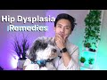 The BEST Natural Remedies To Combat Dog Hip Dysplasia